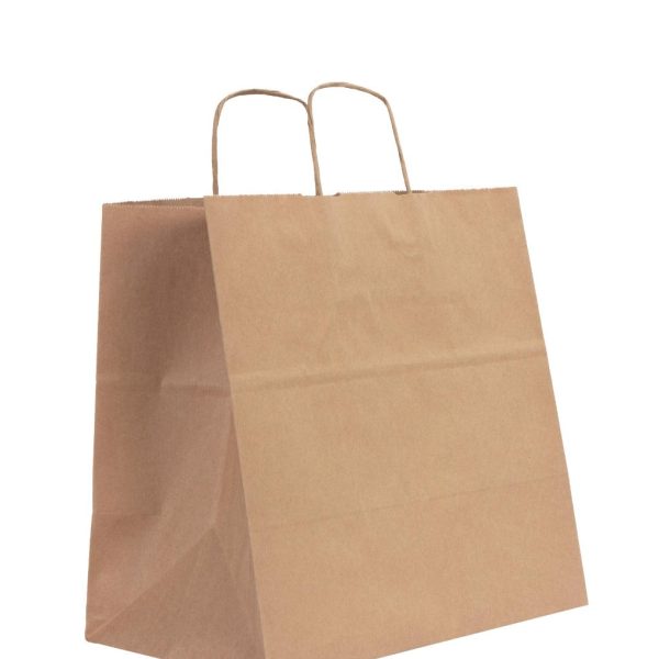 Kraft Kağıt Çanta - Burgu Saplı 27x20x31 cm