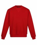 Regatta Pro Bisiklet Yaka Sweatshirt - Görsel 2